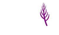 Ticmac Corporation